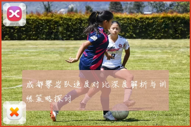 成都攀岩队速度对比深度解析与训练策略探讨