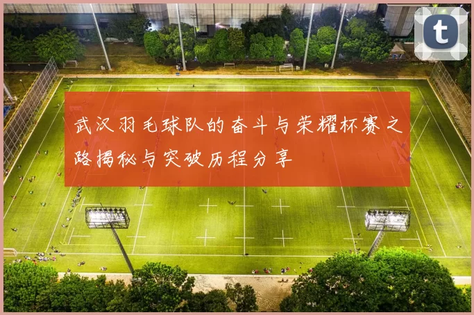 武汉羽毛球队的奋斗与荣耀杯赛之路揭秘与突破历程分享