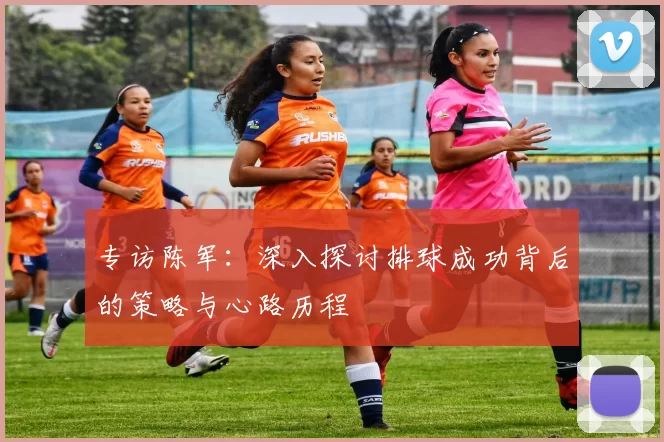 专访陈军：深入探讨排球成功背后的策略与心路历程