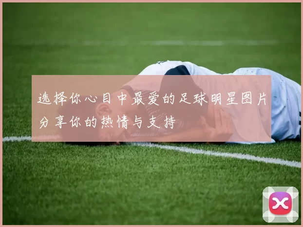 选择你心目中最爱的足球明星图片分享你的热情与支持