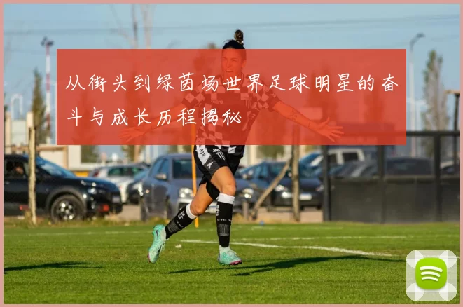 从街头到绿茵场世界足球明星的奋斗与成长历程揭秘