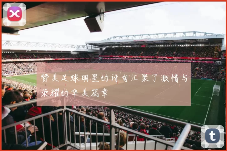 赞美足球明星的诗句汇聚了激情与荣耀的华美篇章