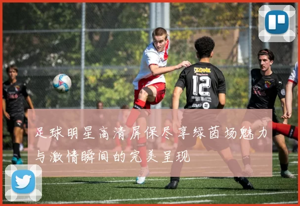 足球明星高清屏保尽享绿茵场魅力与激情瞬间的完美呈现