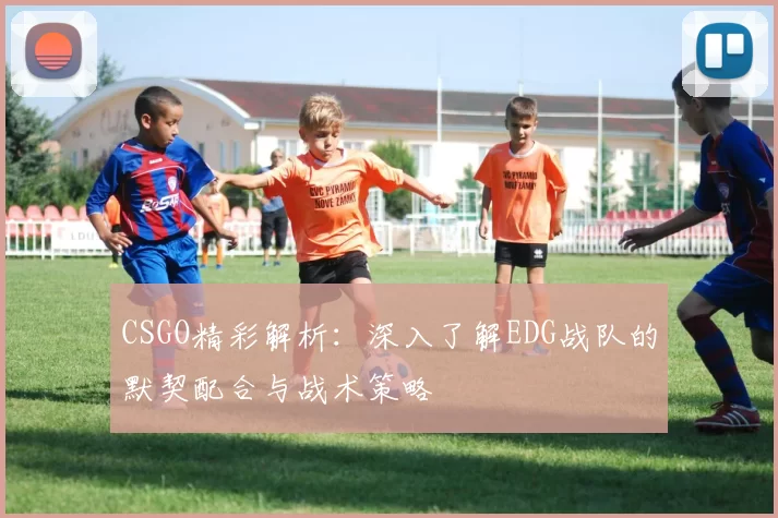 CSGO精彩解析：深入了解EDG战队的默契配合与战术策略