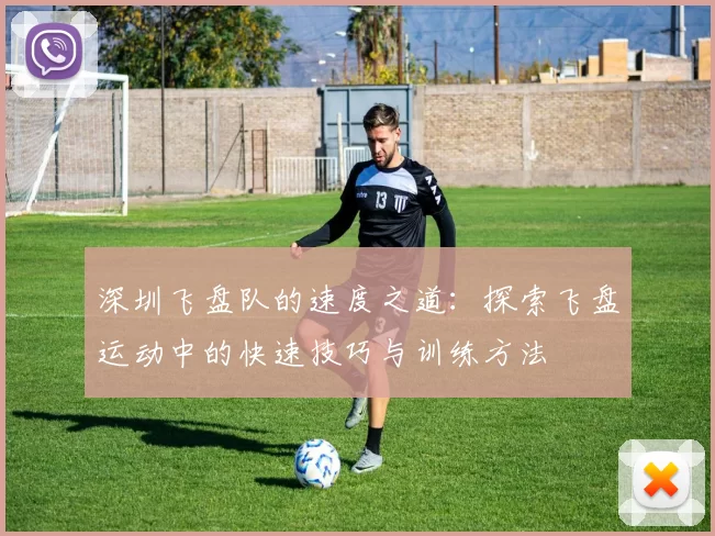 深圳飞盘队的速度之道：探索飞盘运动中的快速技巧与训练方法