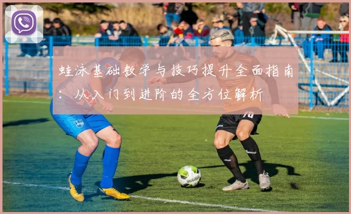 蛙泳基础教学与技巧提升全面指南：从入门到进阶的全方位解析