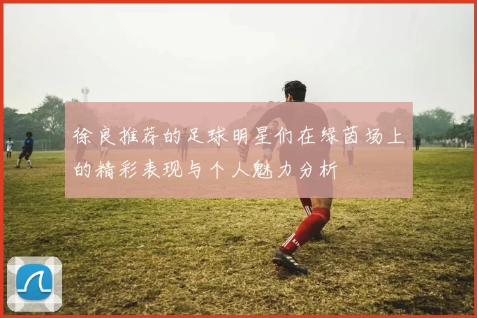 徐良推荐的足球明星们在绿茵场上的精彩表现与个人魅力分析
