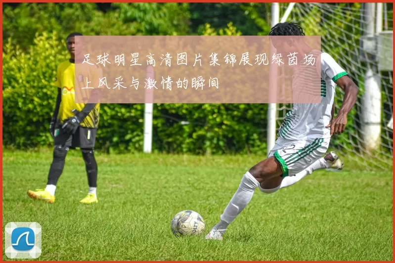 足球明星高清图片集锦展现绿茵场上风采与激情的瞬间