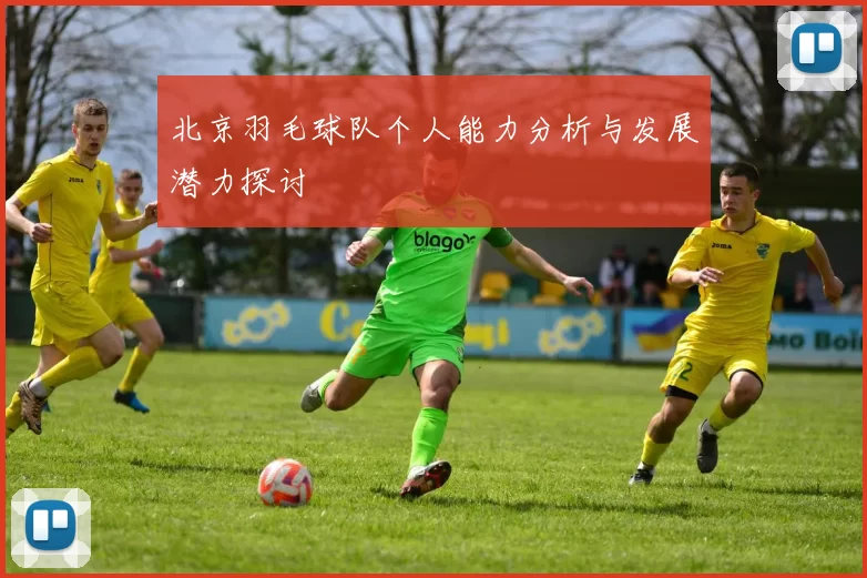 北京羽毛球队个人能力分析与发展潜力探讨