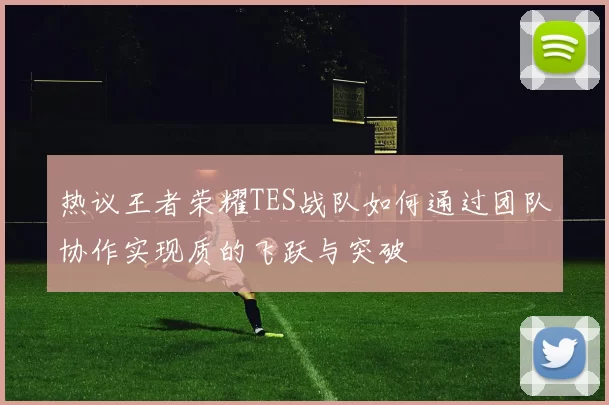 热议王者荣耀TES战队如何通过团队协作实现质的飞跃与突破