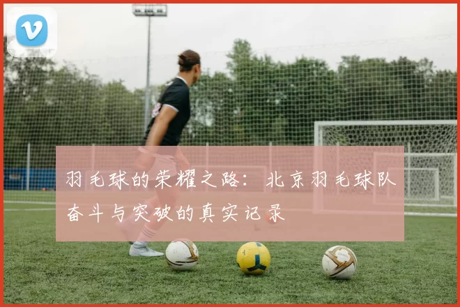 羽毛球的荣耀之路：北京羽毛球队奋斗与突破的真实记录