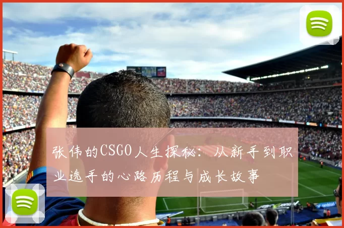张伟的CSGO人生探秘：从新手到职业选手的心路历程与成长故事