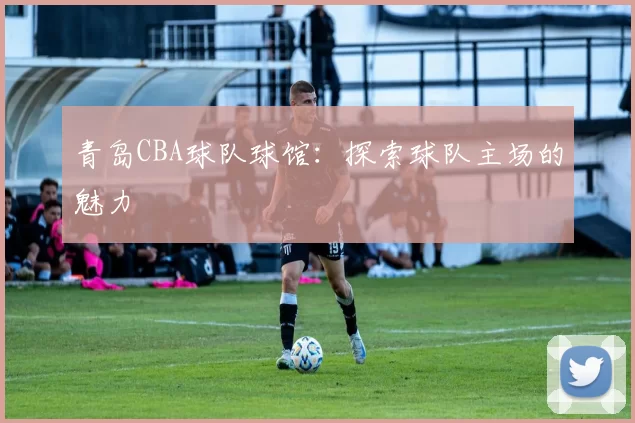 青岛CBA球队球馆：探索球队主场的魅力