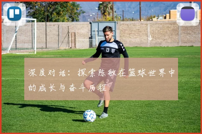 深度对话：探索陈敏在篮球世界中的成长与奋斗历程