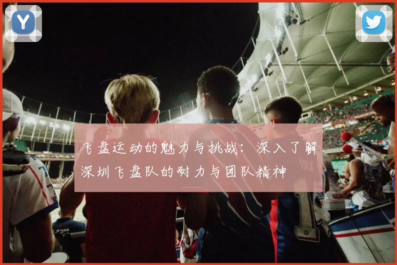 飞盘运动的魅力与挑战：深入了解深圳飞盘队的耐力与团队精神