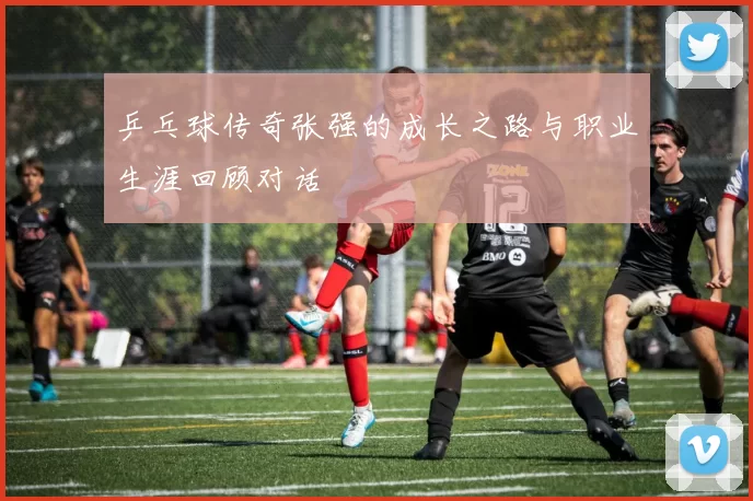 乒乓球传奇张强的成长之路与职业生涯回顾对话