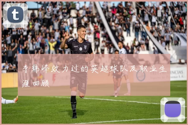李玮峰效力过的英超球队及职业生涯回顾